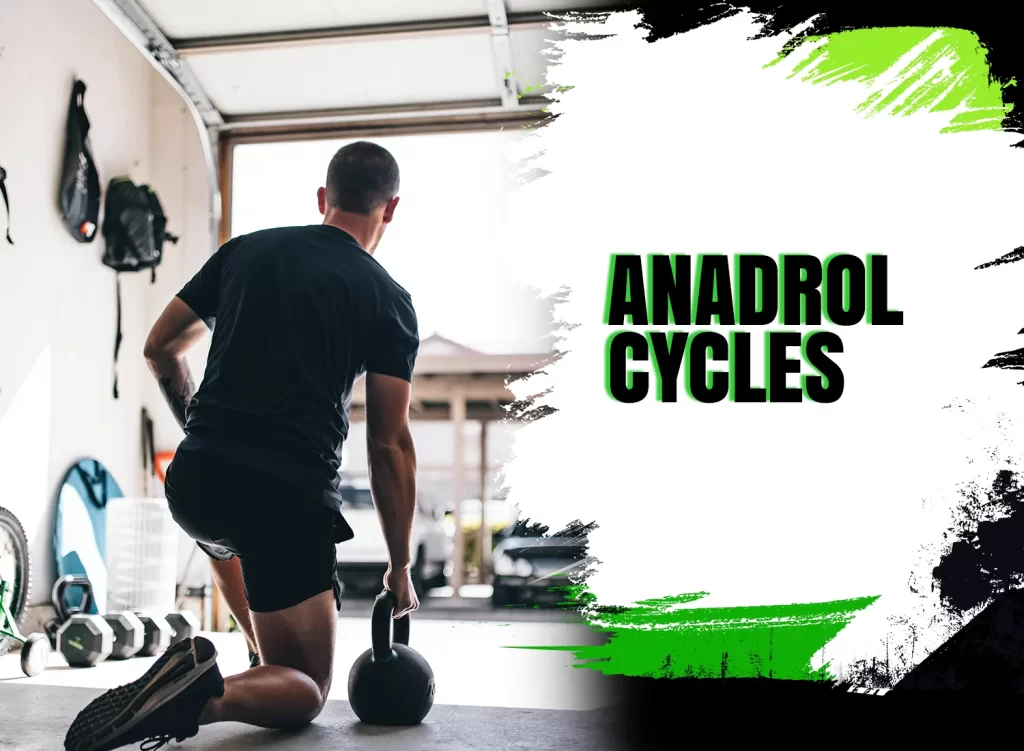 Anadrol Cycles