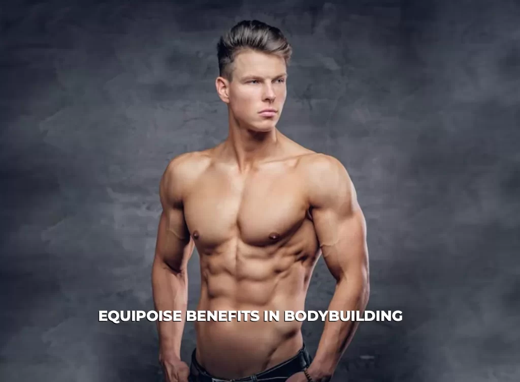Equipoise benefits in bodybuilding