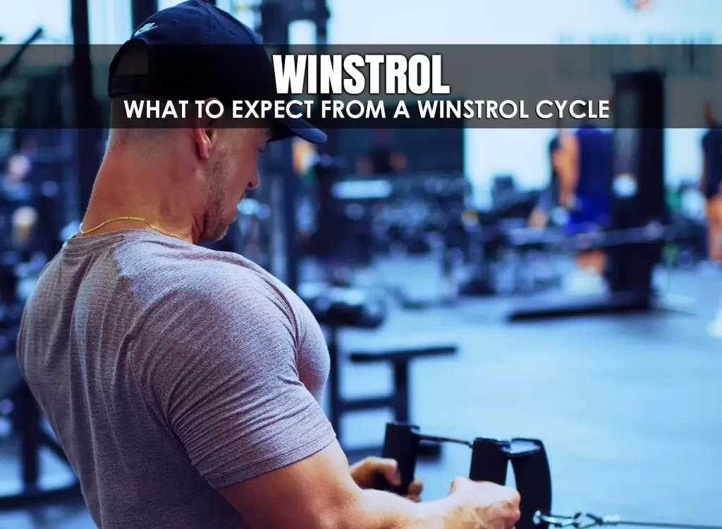 Expectation from Winstrol cycle