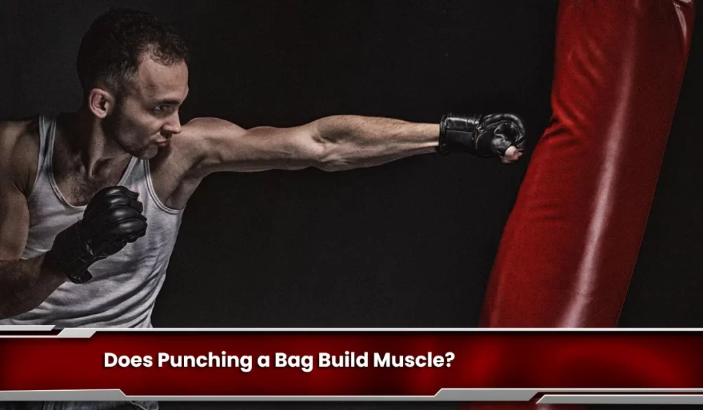 Does Punching a Bag Build Muscle? The Answer is No! Here’s Why